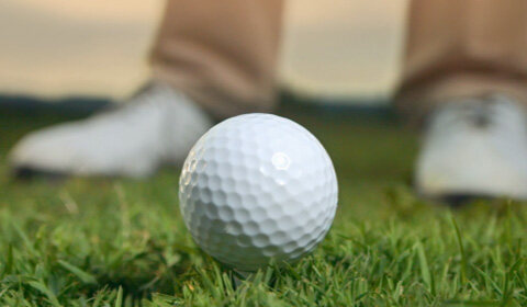 博天堂官方网站life