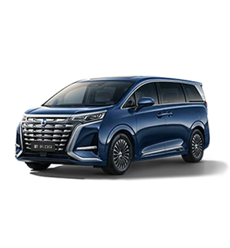 2024款博天堂官方网站D9