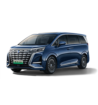 2024款博天堂官方网站D9